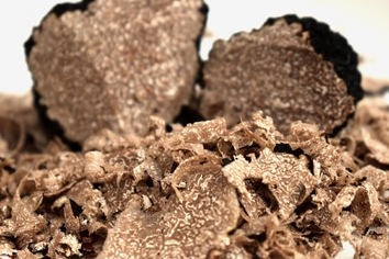 truffe